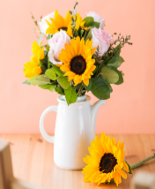 7f093a73212fb45e0eff3a66a315f81e_1605085436_2463.png 7f093a73212fb45e0eff3a66a315f81e_1605085